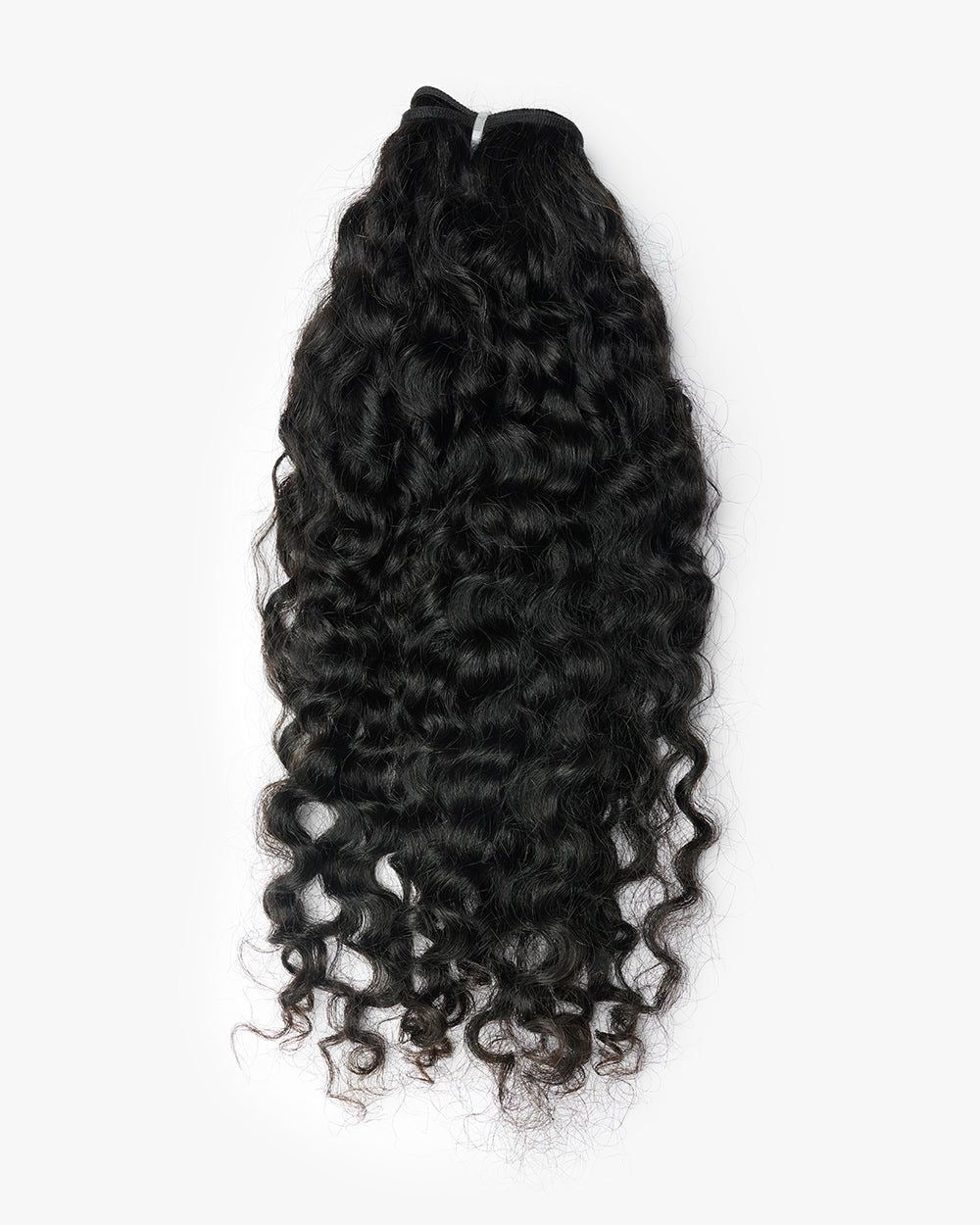 MATASSE BURMESE CURLY