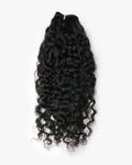 MATASSE BURMESE CURLY
